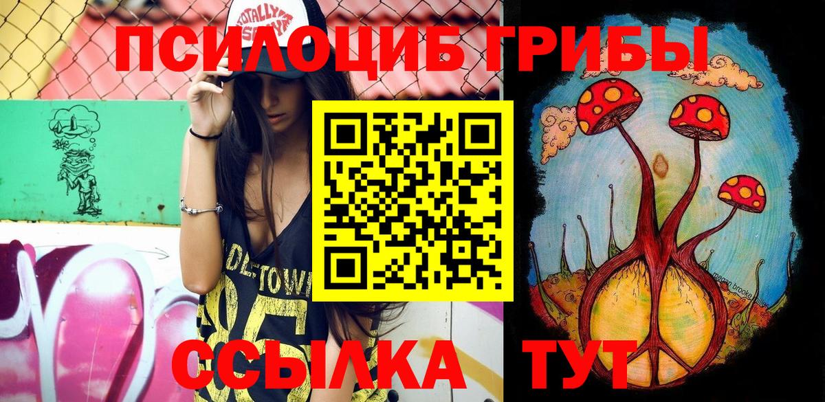 где найти наркотики  Вход с VPN  Бузулук  Галлюциногенные грибы Psilocybe  Псилоцибиновые грибы прущие грибы 