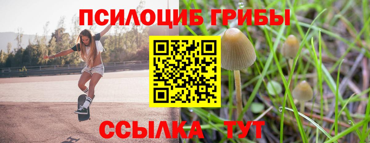 Псилоцибиновые грибы ЛСД Бузулук